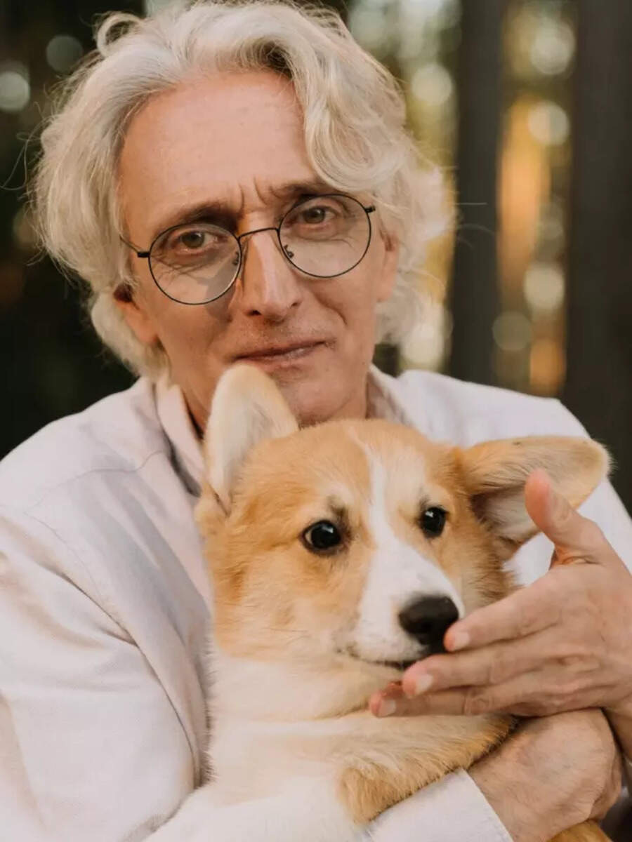 9 Dog Breeds Perfect For Senior Citizens Times Of India