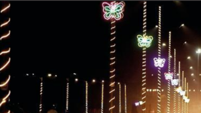 Summit to nadir: Fancy lights worth Rs 7 lakh installed in Lucknow during G20 event stolen