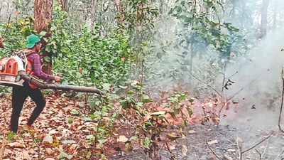 ‘Involve local communities to control forest fires in Odisha’
