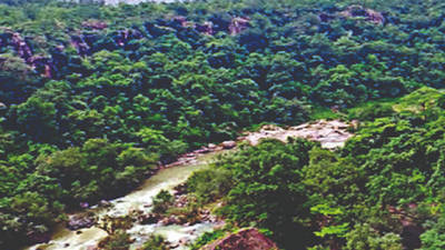 ‘Sanctuaries in 2 Odisha districts turn Maoist dens’