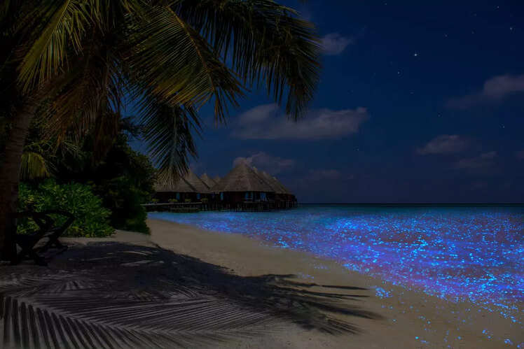Beaches in Havelock Island, Andaman
