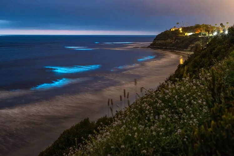 These beautiful Indian beaches glow in the dark! | Times of India Travel