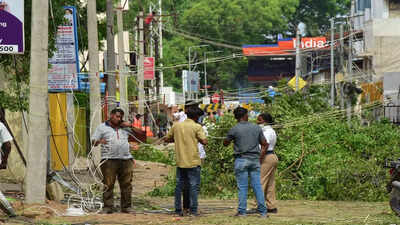 Heavy winds and rain uproot several trees in Madurai, affect power supply