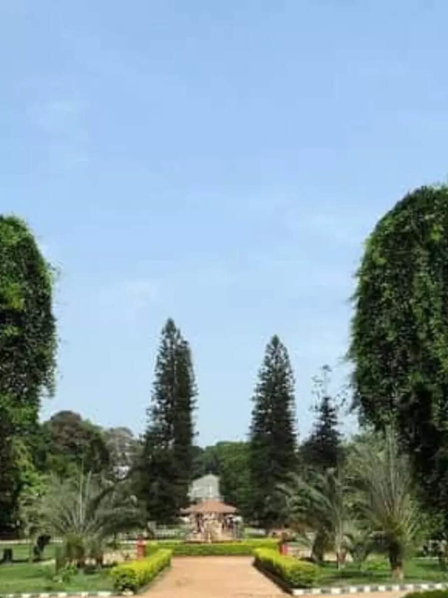 10 Beautiful parks and gardens in Bangalore to breath fresh air Times of India