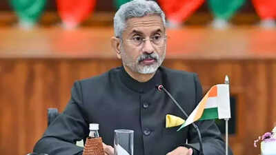Indian growth cannot be built on Chinese efficiency: Jaishankar