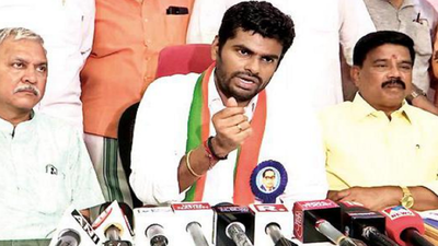 Tamil Nadu CM M K Stalin sues K Annamalai over 'DMK files' | Chennai ...