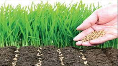 'Bring more homes under nutri-garden'