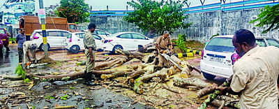 Mocha effect: IMD warns of heavy rain in 5 NE states