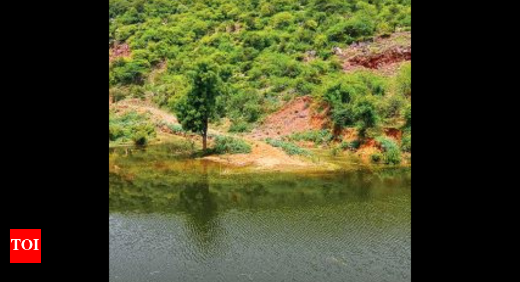 Haryana: Haryana Wants ‘protected Forest’ Tag Off Land Around ...