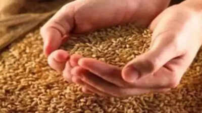 Ludhiana administration committed to ensure smooth and hassle-free wheat procurement season: Deputy commissioner