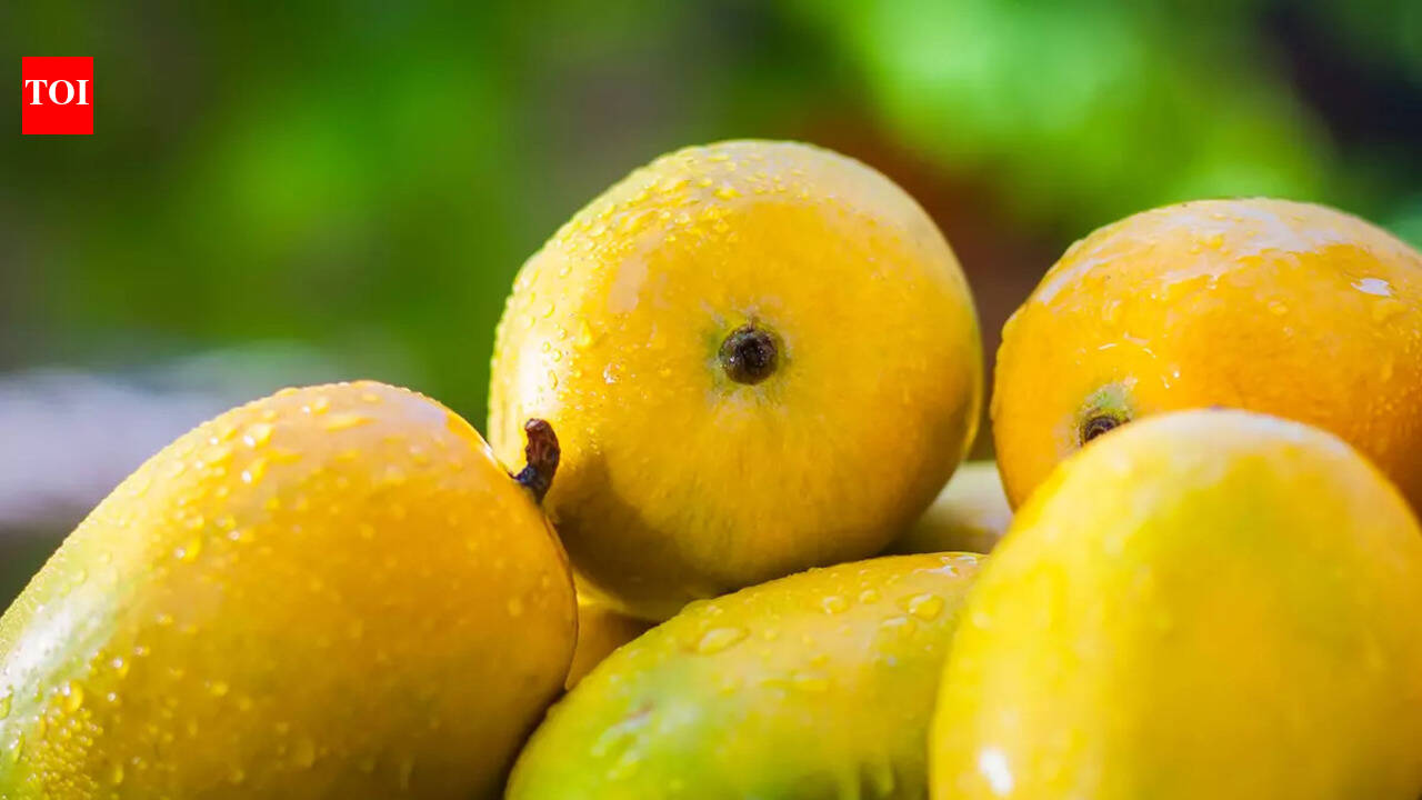 This is the world’s most expensive mango and it costs INR 19,000 a piece
