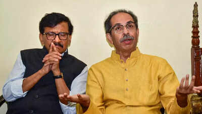 Sena vs Sena: Supreme Court slams governor's role, but spares Eknath Shinde govt