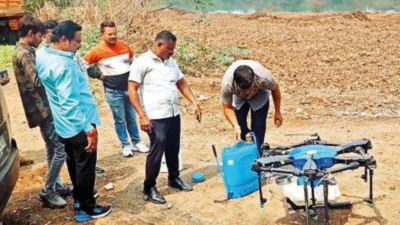 Pune: Mosquito menace stings citizens even after anti-larvae spray over Katraj lake