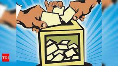 53% voter turnout in phase 2 of ULB polls in UP