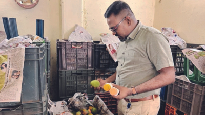 Six tonnes of artificially ripened mangoes seized in Salem