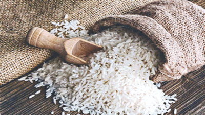 Basmati exports up Rs 12,109 crore in 2022-23 from previous fiscal
