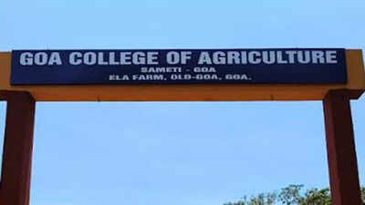 Mudassachem: Goa College of Agriculture set to celebrate millets, mango and music