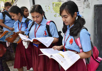 CBSE Board Exam Results 2023: Students from smaller towns top in Prayagraj region
