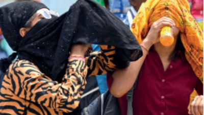 Delhi sizzles at 42.5 degree Celsius, records season's hottest day after 3-week cool spell