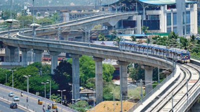 Chennai: Bird droppings can stop metro trains; CMRL uses spikes, nets to keep pigeons away