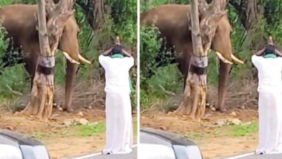 Tamil Nadu: Man who stopped wild tusker with folded hands fined Rs 10,000