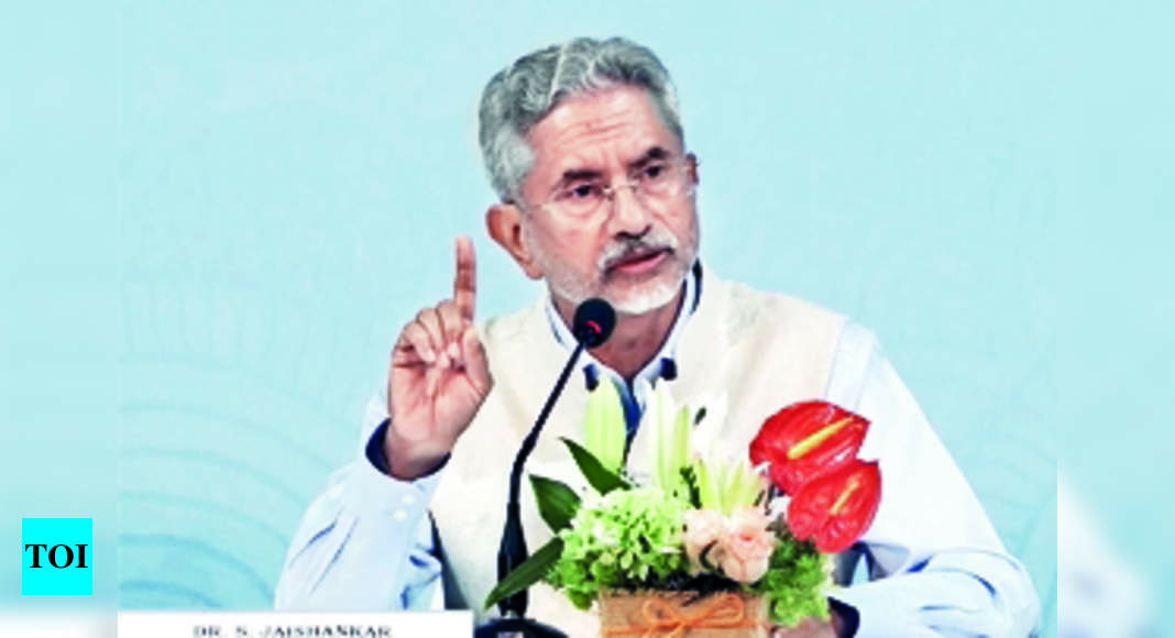 S Jaishankar: Without naming China, foreign minister S Jaishankar slams ...