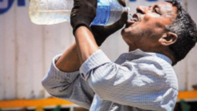Brace for hotter days, max temp touches 42.5° C