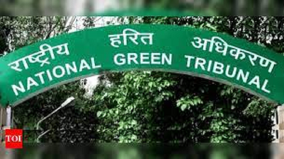 Ensure pollution-free transport of material: NGT to limestone miners