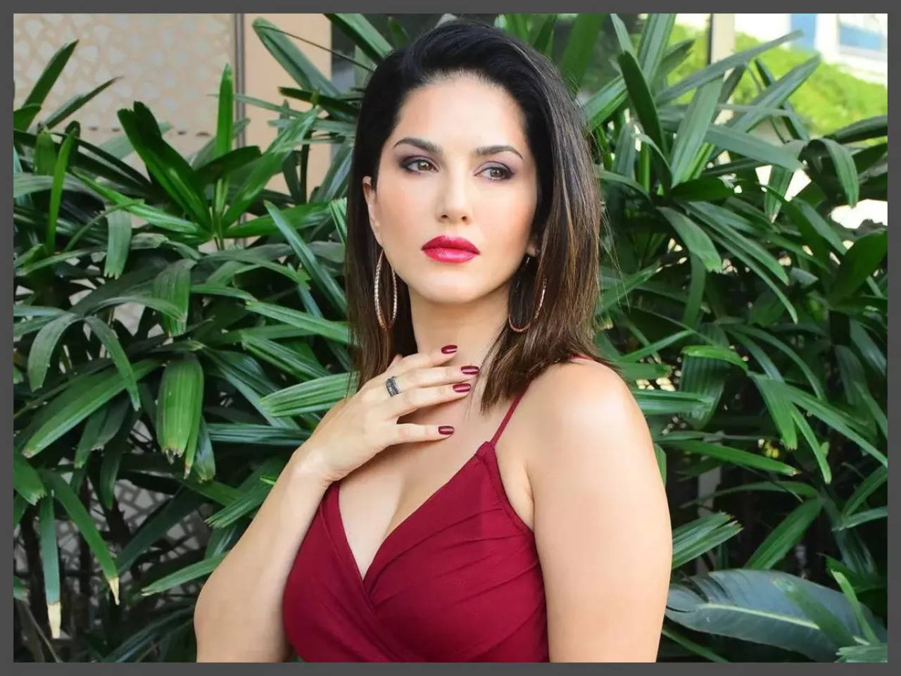 Sunny Leone speaks on her birthday and career I am not ashamed of my past Hindi Movie News