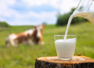 Milk is more hydrating than water