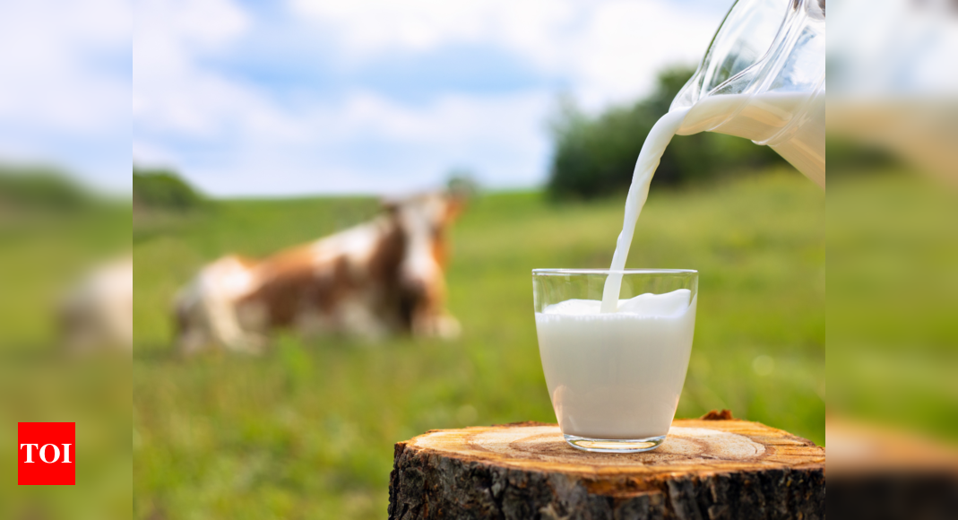 Study Claims Milk Is More Hydrating Than Water - Times Of India