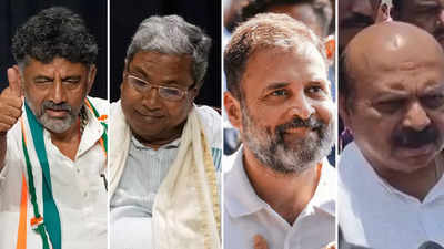Karnataka election results: Key winners and losers