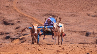 Cyclone Mocha sounds heatwave alert in Konkan and north Maharashtra