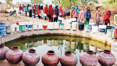 Severe heat wave triggers drinking water crisis in Rajasthan