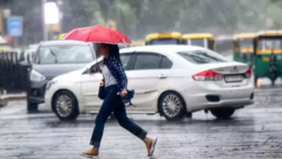 Light rain likely in Delhi in middle of next week