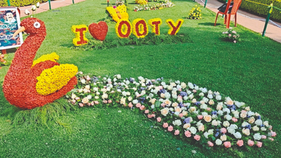 Three-day rose show adds colour to summer festivities in Nilgiris