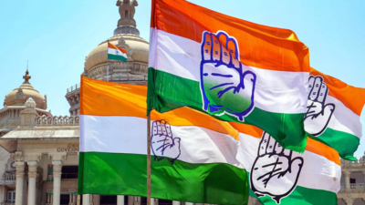 List of winning candidates and their constituencies in Karnataka assembly elections