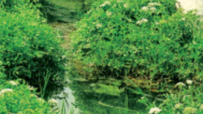 Tanks leaking for 5 yrs, drinking water goes down the drain daily