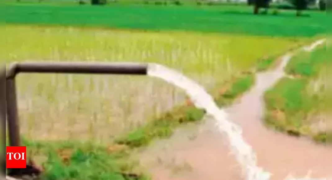 Dharoi Irrigation Scheme 317 Cr Sanctioned Ahmedabad News Times of India