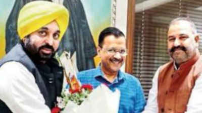 Rinku: Aap’s Mp-elect Rinku Meets Kejri | Chandigarh News - Times of India