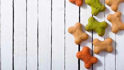 Best dog biscuits for your furry friend