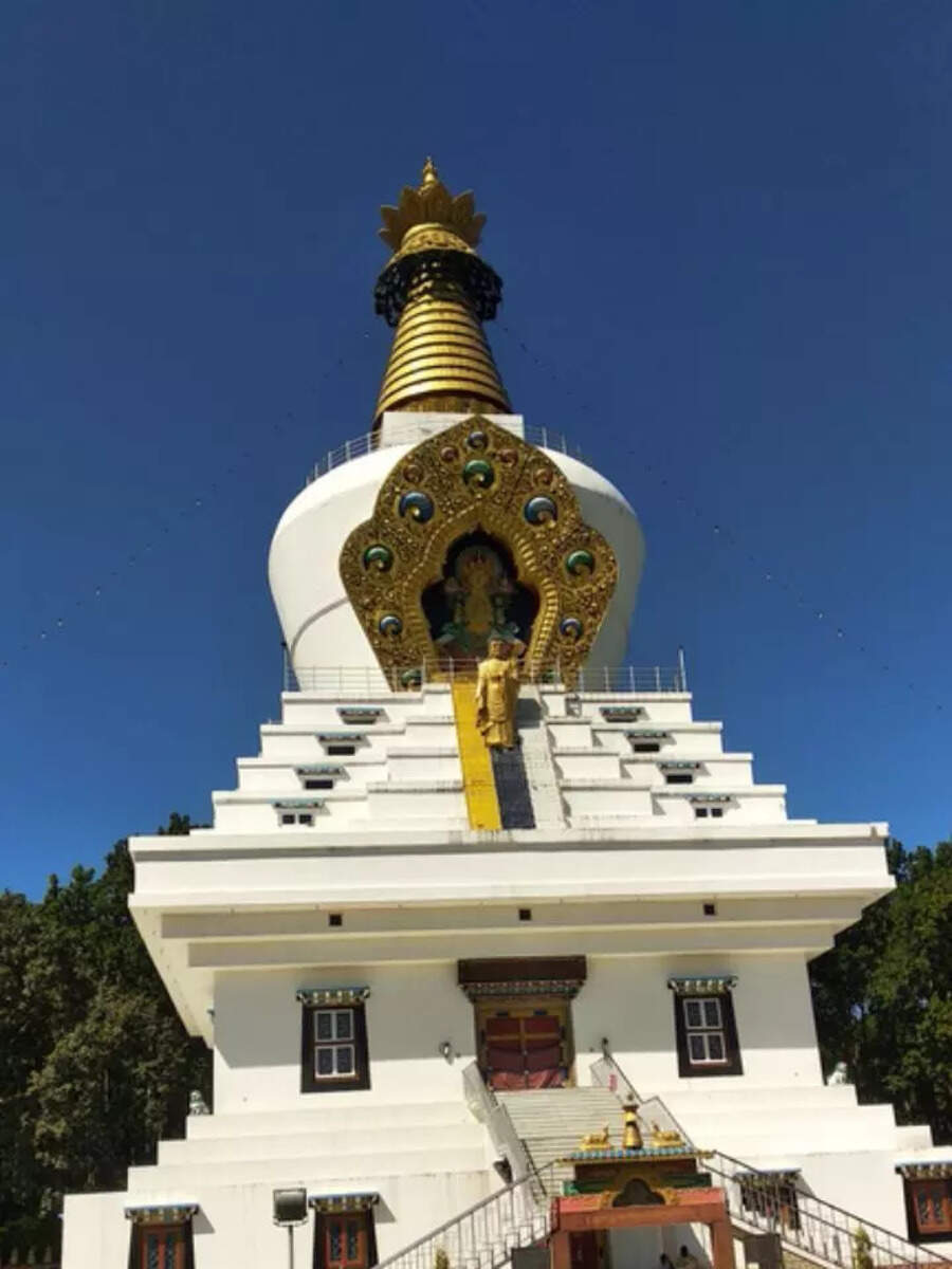 Around Dehradun—Places nobody told you about! | Times of India