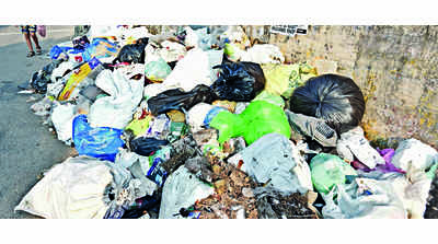 864 cases filed this year for waste dumping in open spots
