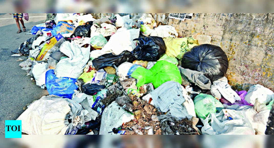 864 Cases Filed This Year For Waste Dumping In Open Spots Kochi News