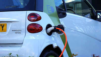 India ripe target for EV companies but domestic take up slow: Report