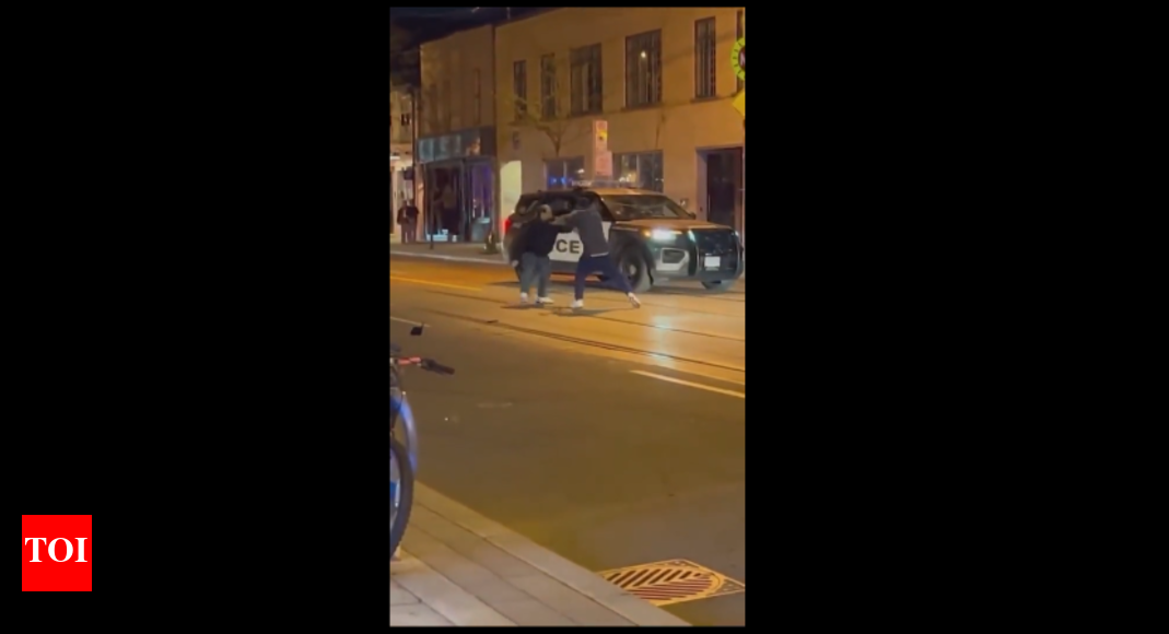 Man arrested by police after using pet python to attack another person ...