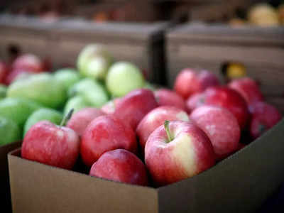 Govt introduces Minimum Import Price for apples in J&K to support local growers