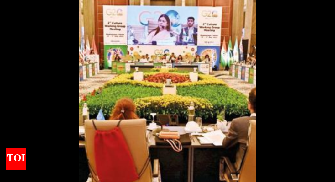 G20 member nations discuss promotion of culture through tech ...