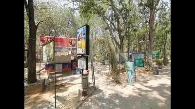 Now, take a bus to Bannerghatta park and get free entry to Butterfly park on Mondays