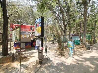 Now, take a bus to Bannerghatta park and get free entry to Butterfly park on Mondays